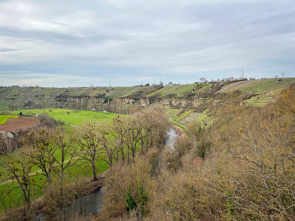 23-03-17 14-47-05 4925